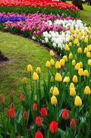 Inspiring Tulip Garden Ideas Town Country Living Flower Bed Designs Tulips Garden Gorgeous Gardens