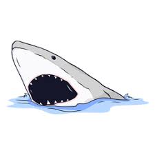 Free Free 347 Shark Mouth Open Svg SVG PNG EPS DXF File