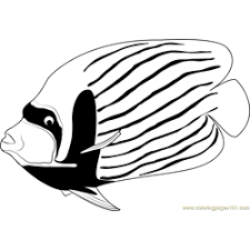 Color online with this game to color animals coloring pages and you will be able to share and to create your own gallery online. Angelfish Coloring Pages For Kids Download Angelfish Printable Coloring Pages Coloringpages101 Com