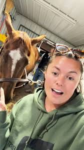 Checking Willow & Ginger for ovulation🐴