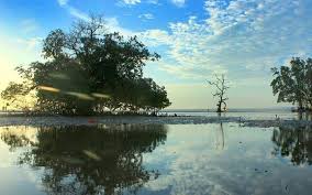 Semoga dengan adanya artikel harga tiket masuk ciputra waterpark surabaya ini bisa membantu anda dalam menemukan informasi yang anda cari dan dapat memberikan pengetahuan tentang berbagai tempat wisata yang ada di indonesia. 22 Tempat Wisata Di Kupang Ntt Paling Populer Yang Wajib Dikunjungi