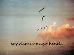 Kus Olur Sen Ucusunu Hatirla Guzel Soz Kus Sozleri Ozlu Sozler