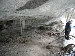 Dogs are also able to use this trail. Bella Vista Tanyard Creek Nature Trail Arklahoma Hiker