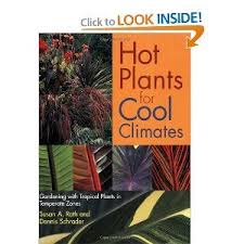 Maybe you would like to learn more about one of these? Hot Plants For Cool Climates Gardening With Tropical Plants In Temperate Zones Tropical Plants Plants Tropical