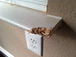Wood Epoxy Fixes Around The House Diy Home Repair Wood Repair Home Fix