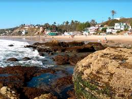 Tidepool Exploration Crystal Cove