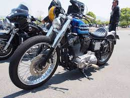 mean sportster ハーレーダビッドソン スポーツスター ハーレーダビッドソン カスタムバイク