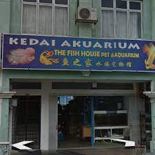 Ia terletak berhampiran dengan pusat bandar puchong dan merupakan suburban baru di puchong. The Fish House Pet Aquarium Aquarium In Bandar Puteri