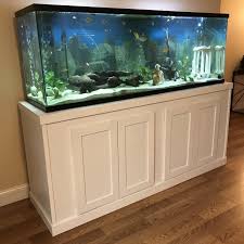 Pin On Fish Tanks Decor Ideas