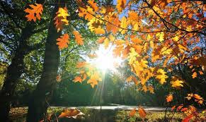 Prognoza Meteo Pentru Duminică 29 Septembrie Anm Anunţ Despre Vreme Temperaturi De Vară Impact