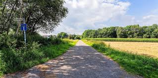 Familie:ich will weg von zu hause. 5a7 Ozk3g3ol M