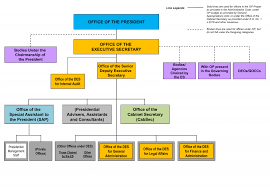 organizational chart office of the president of the