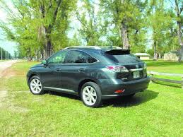 Image result for Golden Almond 2010 RX