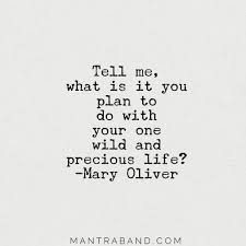 Earth, children, joy, gratitude, heaven, mother nature, seasons as well as teachers. Excerpt From A Poem By Mary Oliver What Do You Plan To Do With Your One Wild And Precious Life Mary Oliver Quotes Life Quotes Words Quotes