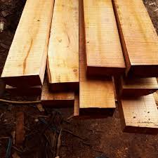 Balok domino 120 buah chain reaction warna warni kayu wood mainan qm2. Daftar Harga Kayu 2021 Untuk Pembangunan Rumah Dilengkapi Tips