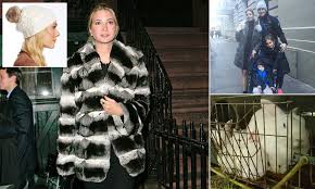 PETA hits out at Ivanka Trumps use of real rabbit fur on hat design |  Daily Mail Online