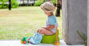 The use of a potty and toilet training reward chart, with the sticker method of application is a tried and tested training method. How To Potty Train A Boy A Step By Step Guide With Tips