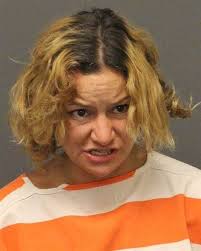 Sheriff's Office crime report