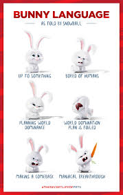 Bunny Language As Told By Snowball The Secret Life Of Pets In Theaters July 8 Secret Life Of Pets Snowball Pets Movie