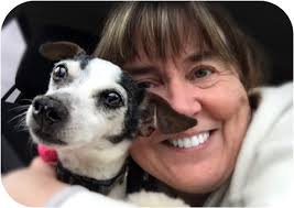 Your Dog Doesn't Know He Has Cancer • Old Dog Haven