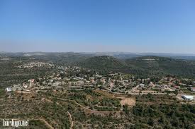 כאן זה המקום להתעדכן בפעילות תרבות חינוך וקהילה ביישובנו גבעת יערים! ×'×'×¢×ª ×™×¢×¨×™× ×¦×™×œ×•× ××•×™×¨ Photo Israel Bardugo Photos At Pbase Com