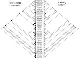 Image result for Coleotrype natalensis