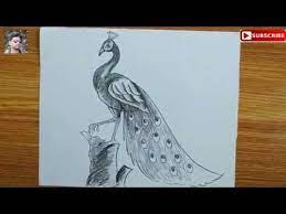 Pin On Drawing