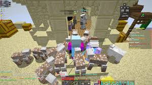 A public ip address is provided by a user's internet service provider and connects the user's computer network to the internet. Shepherd S Quest Hypixel Minecraft Server And Maps