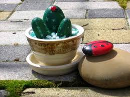 El cactus piedra es una crasa del género botánico lithops, y es originario de áfrica del sur. Pintar Piedras Guia De Jardin