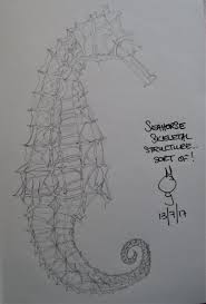I ended up using up an entire 3b pencil for this drawing but it was totally worth it! Morag Gunson On Twitter Pencil Sketch Of The Structure Of A Seahorse Drawing Seahorse Animal Art
