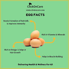 Health Fact Alert A Few Eggs A Day Keeps The Doctor Away Www Clickoncare Com Delivering Health Wellness For All Cl Egg Facts Nutrition Store Health Facts