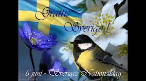 Sverige är en fantastiskt land vi borde alla ta ansvarig för samhället och trygghet. 6 Juni Sveriges Nationaldag Grattis Sverige Silvia Regueira Wmv Youtube