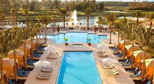 8 Best Romantic Hotels In Orlando With The Most Indulgent Trip101