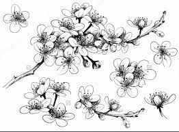 Maybe you would like to learn more about one of these? 39 Gambar Sketsa Bunga Indah Sakura Mawar Melati Matahari Anggrek Teratai