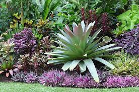 Sub Tropical Landscaping Ideas Dennis Hundscheidt Google Search Tropical Landscape Design Tropical Garden Design Tropical Landscaping