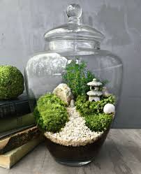 A Beautiful Terrarium Gardening Garden Terrarium Miniature Garden Japanese Garden