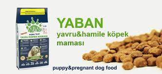 Yaban Yavru Ve Hamile Kopek Mamasi