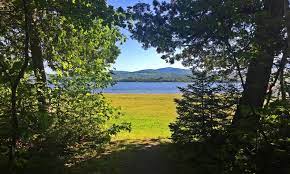 Yes, pets are typically allowed, but it's always. Hiking Paddling Swimming Camping At Mount Blue State Park Weld Fit Maine
