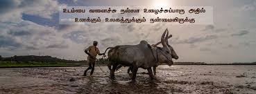 Tofa - தமிழ்நாடு இயற்கை விவசாயிகள் சங்கம் - Posts | Facebook