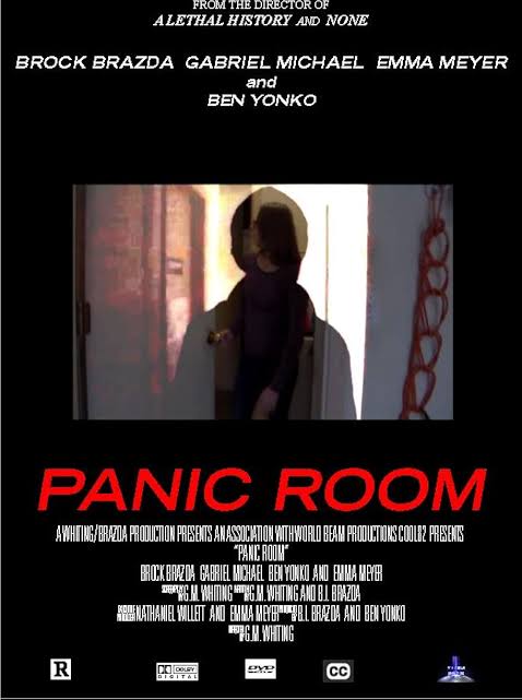 Panic Room (2016) - IMDb