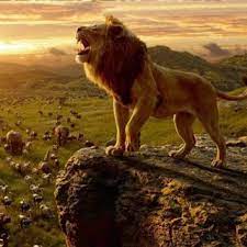 Prince william revealed that you and prince george might also share the same love for disney movies. Simba In Real Lion Version The Lion King Download Scientific Diagram