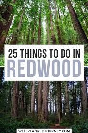 This means there is a good amount of ground to cover and a lot of cool things to do in redwood national park. 25 Amazing Things To Do At Redwood National Park In 2021