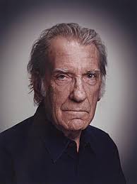 David warner's aggregate in the ipl. David Warner Actor Wikipedia