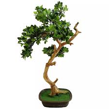 Natural Plastic Artificial Banyan Tree Bonsai Plants With Mini Bonsai Tree Sale Buy Mini Bonsai Tree Bonsai Tree Sale Banyan Tree Bonsai Product On Alibaba Com