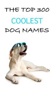 Cool Dog Names 300 Awesome Puppy Name Ideas Funny Dog Names Best Dog Names Dog Names Unique