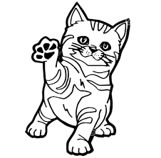 Melalui seni gambar mewarnai kucing terbaru menggambar atau melalui media gambar guna untuk mewarnainya. 55 Gambar Kucing Untuk Mewarnai Anak Tk Terlengkap Kumpulan Gambar Mewarnai