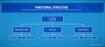 In one of our previous articles, we discussed organizational chart best practices. 4 Types Of Organizational Structures Point Park Online