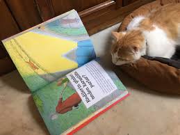 Kirmizi Kedi Yayinevi On Twitter Neden Cocuklara Yonelik Iddiali Bir Soru Cevap Kitabi Kedilerin Gozleri Neden Karanlikta Parlar Kismi Baris In Da Ilgisini Cekti Https T Co Aizksgbwm8
