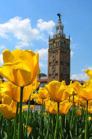 We are your local, full service kansas city florist and take pride in providing our customers with quality flowers, artfully designed arrangements and gifts for all occasions. That S How We Do Kc Country Club Plaza Country Club Plaza Ferry Building San Francisco City View