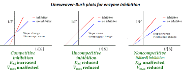 Solved 03. (A) Discuss The Advantages Of Using Enzymes In | Chegg.Com